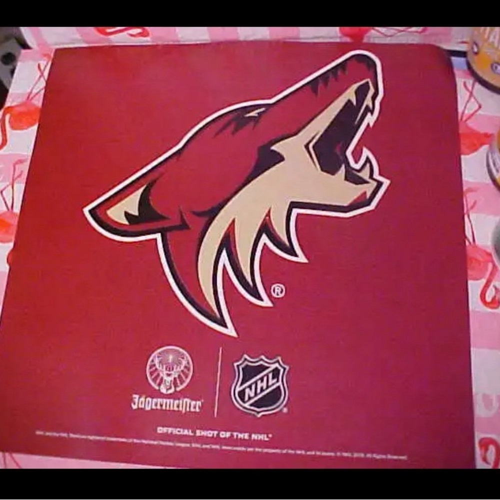Arizona Coyotes JAGERMEISTER Promo NHL Cooler Fridge Car Magnet NEW RARE 11”x11”